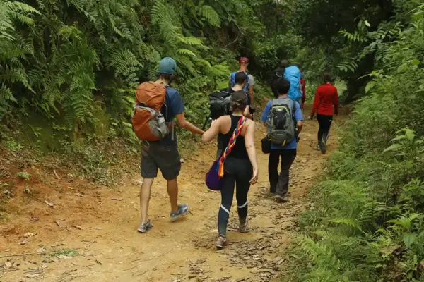 trek ciudad perdida colombia Como llegar a la Ciudad Perdida